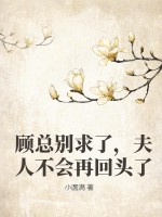 超品医圣叶辰夏若雪孙怡