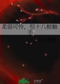 硅谷风水天师巨富