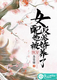 海贼之风暴主宰