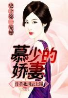 进化之从蚂蚁开始