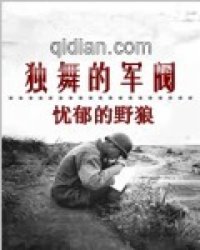 白夜叶倩小说免费阅读全文