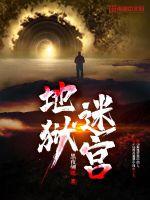 叶宁罗舞苏倾城全集小说阅读免费