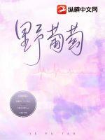 卫颜冷夜霆离职后我怀了前上司的孩子最新章节在线阅读