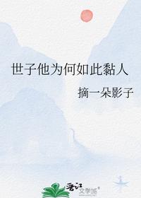 夏天司马兰是什么小说