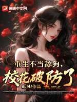 唐念沈寒舟全集小说阅读免费