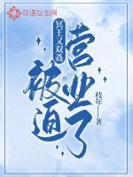 林然全集小说阅读免费