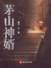 武元上官蒹葭小说名字叫什么